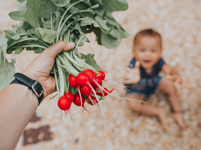 Alimentos consumidos na primeira infância influenciam na formação do paladar infantil